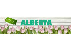 Магазин верхней одежды Alberta