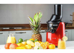 Kuvings Juicer