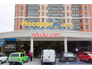 Носорог