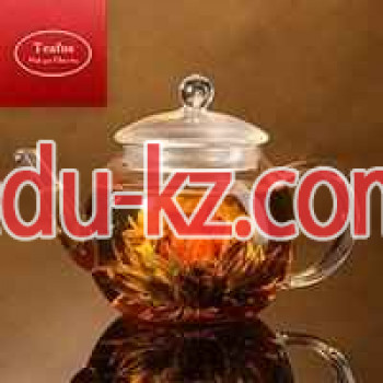 Интернет-магазин Teafus. com.ua