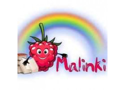 Детский клуб Malinki